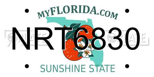 NRT6830 Florida License Plate