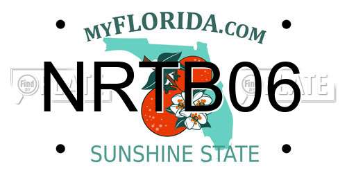 NRTB06 Florida License Plate