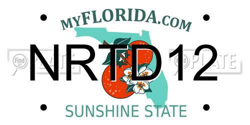 NRTD12 Florida License Plate
