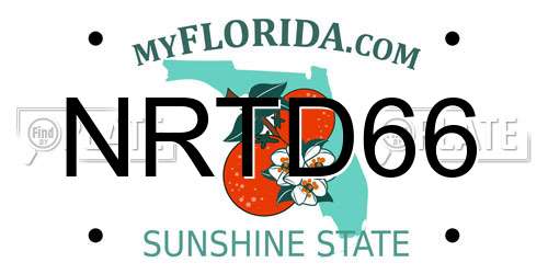 NRTD66 Florida License Plate