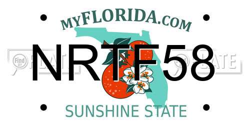 NRTF58 Florida License Plate