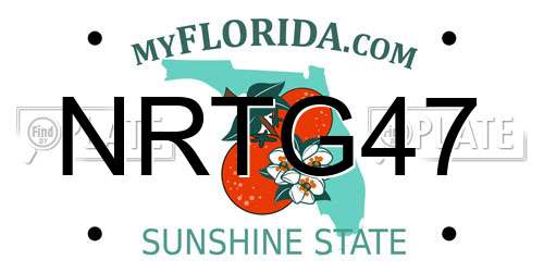 NRTG47 Florida License Plate