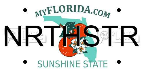NRTHSTR Florida License Plate