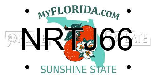 NRTJ66 Florida License Plate