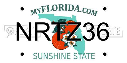 NRTZ36 Florida License Plate