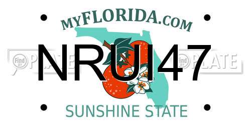 NRUI47 Florida License Plate