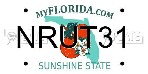 NRUT31 Florida License Plate