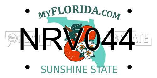 NRV044 Florida License Plate
