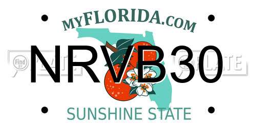 NRVB30 Florida License Plate