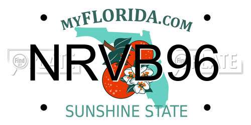 NRVB96 Florida License Plate