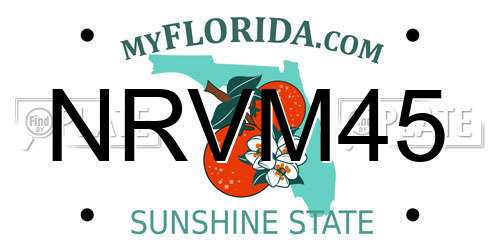 NRVM45 Florida License Plate