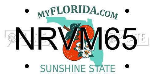 NRVM65 Florida License Plate