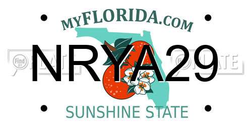 NRYA29 Florida License Plate