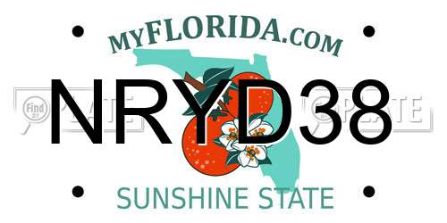 NRYD38 Florida License Plate