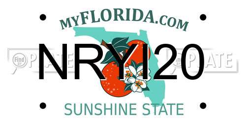 NRYI20 Florida License Plate