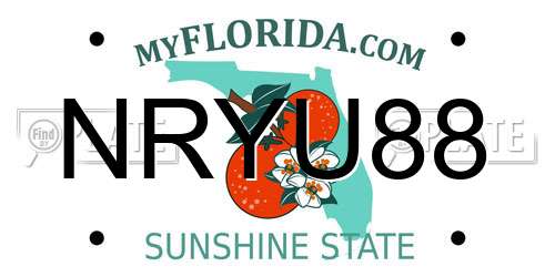 NRYU88 Florida License Plate