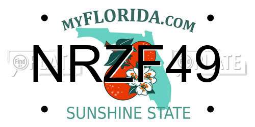 NRZF49 Florida License Plate