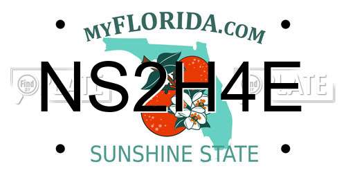 NS2H4E Florida License Plate