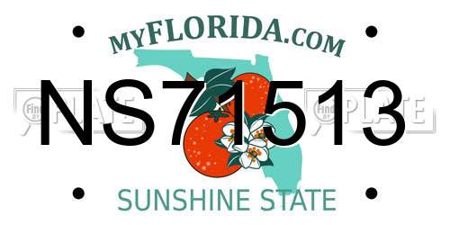 NS71513 Florida License Plate