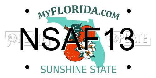 NSAF13 Florida License Plate