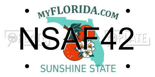 NSAF42 Florida License Plate