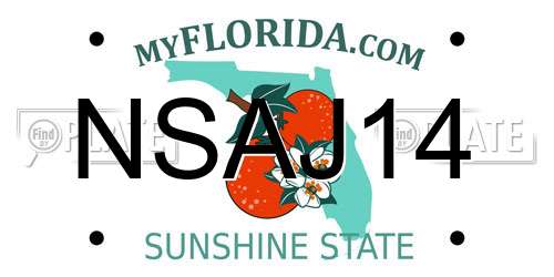 NSAJ14 Florida License Plate