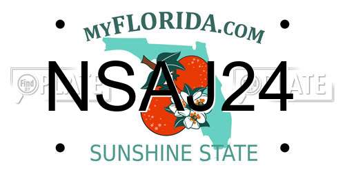 NSAJ24 Florida License Plate