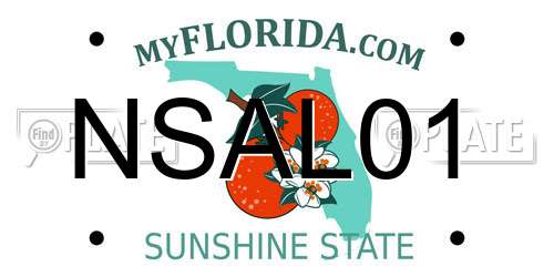 NSAL01 Florida License Plate