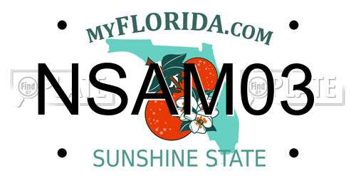 NSAM03 Florida License Plate