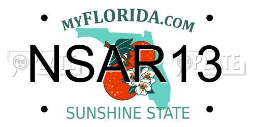 NSAR13 Florida License Plate
