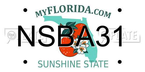 NSBA31 Florida License Plate