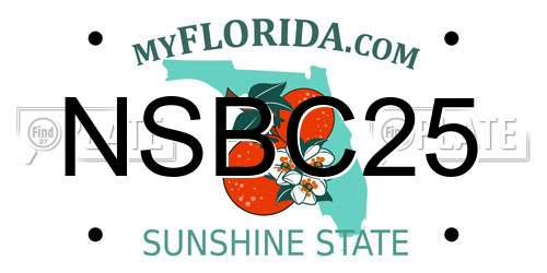 NSBC25 Florida License Plate