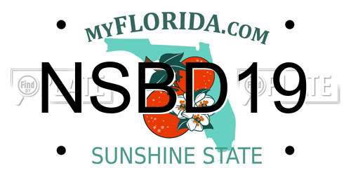 NSBD19 Florida License Plate