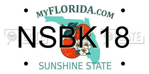NSBK18 Florida License Plate