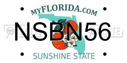 NSBN56 Florida License Plate