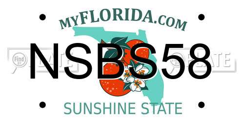 NSBS58 Florida License Plate