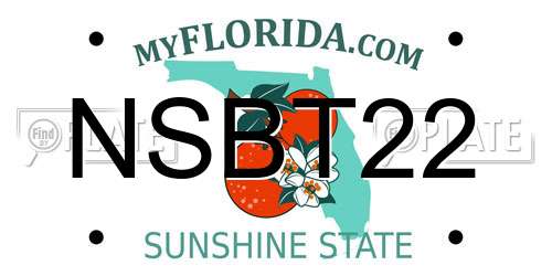 NSBT22 Florida License Plate