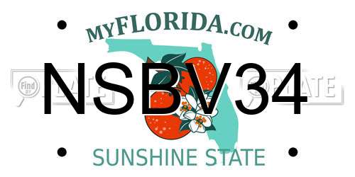 NSBV34 Florida License Plate