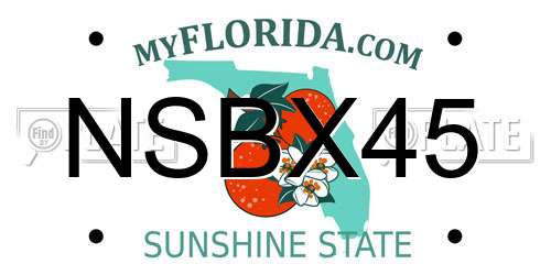 NSBX45 Florida License Plate