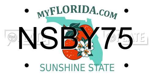 NSBY75 Florida License Plate