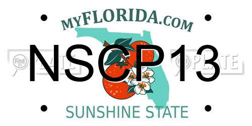 NSCP13 Florida License Plate
