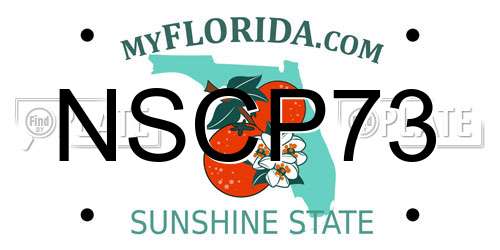 NSCP73 Florida License Plate