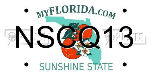NSCQ13 Florida License Plate