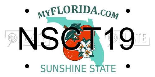 NSCT19 Florida License Plate