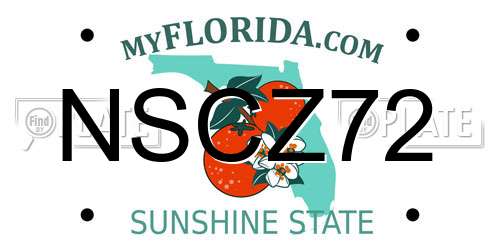 NSCZ72 Florida License Plate
