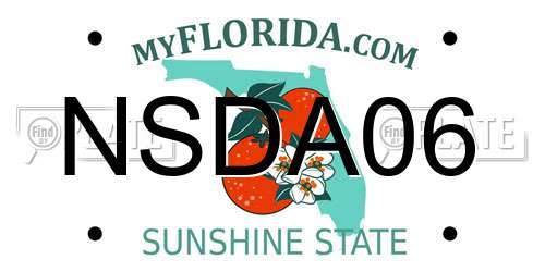 NSDA06 Florida License Plate