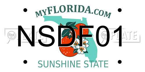 NSDF01 Florida License Plate