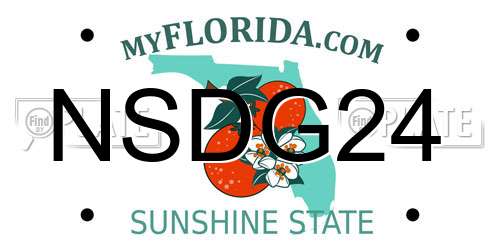 NSDG24 Florida License Plate
