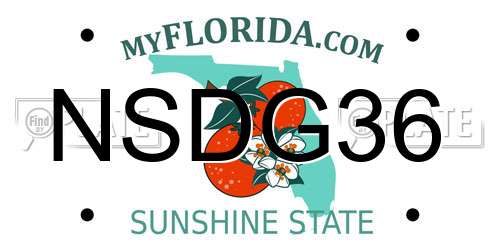 NSDG36 Florida License Plate