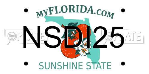 NSDI25 Florida License Plate